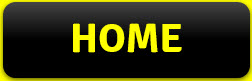 Home button